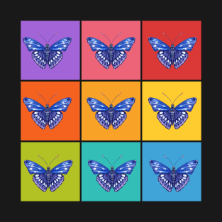 Blue Butterflies on Bold Rainbow Colored Grid T-Shirt