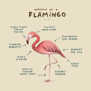 Anatomy of a Flamingo T-Shirt