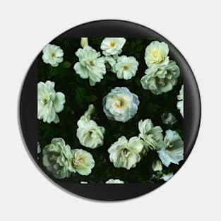 Cool White Roses Pin