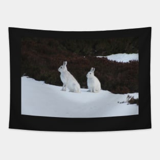 Winter coats Tapestry