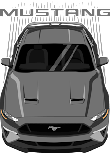 Mustang GT 2018 to 2019 - Grey Magnet