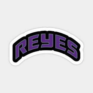 Sacramento Kings Reyes español Magnet