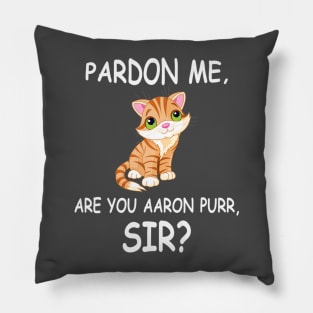 Hamilton Purr Funny Patriotic For 4th Of July Pillow