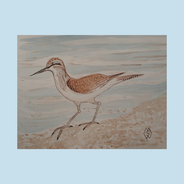 Sandpiper on the Beach by Matt Starr Fine Art