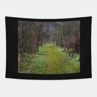 Forest path Tapestry