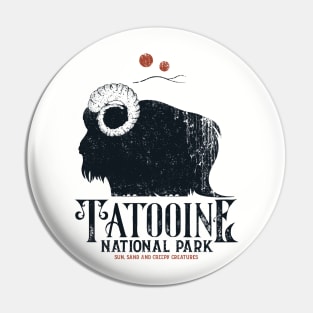 Vintage National Park Pin