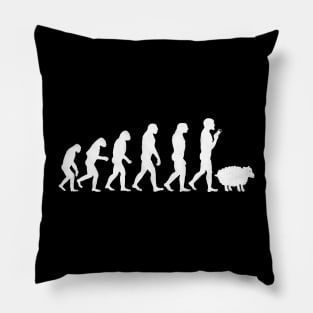 Funny Evolution Theory Humor Pillow