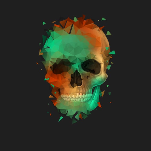 Geometry Reconstruction Skull by Sitchko