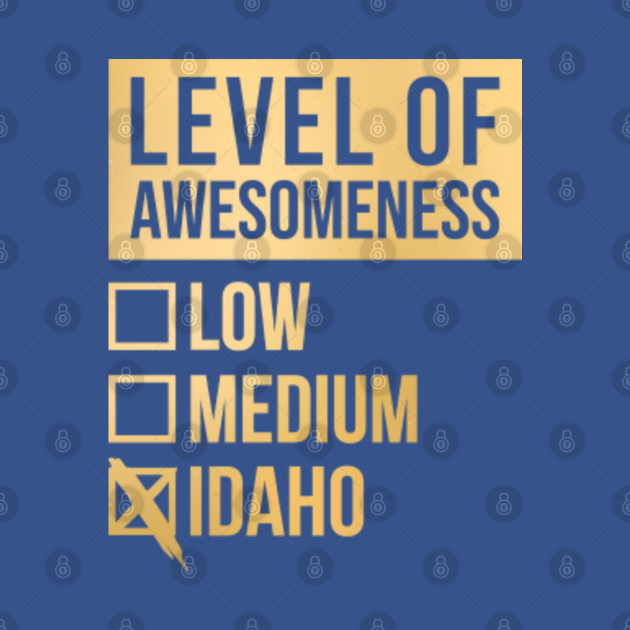 Disover Funny Level Of Awesomeness Low Medium Gift Idaho Saying Quote - Idaho State - T-Shirt