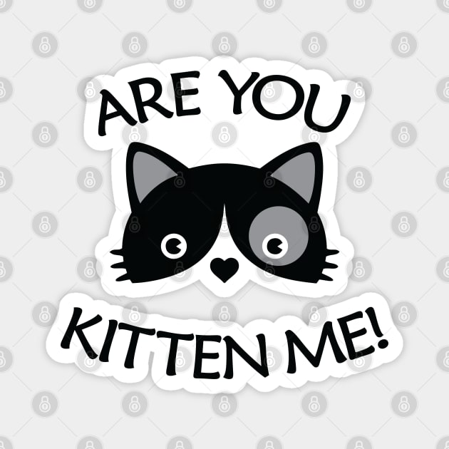 Are You Kitten Me - Cute Black Cat Art Magnet by Julorzo