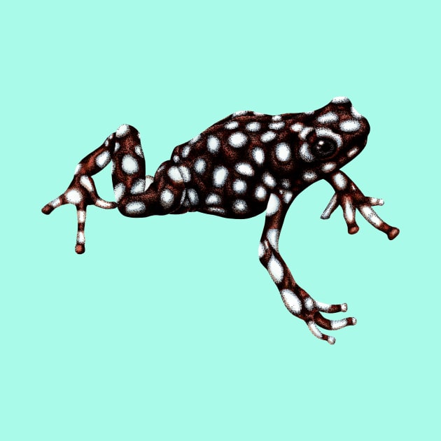 Maranon poison frog by lorendowding