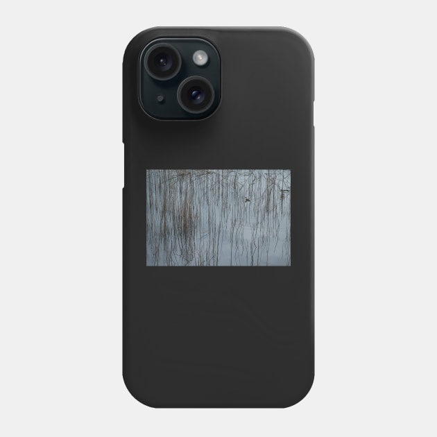 Pond code Phone Case by athexphotographs