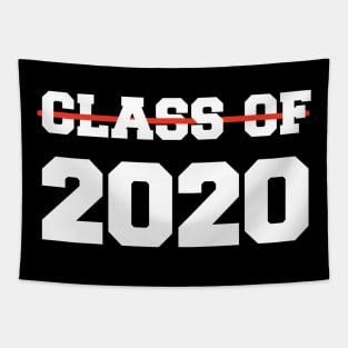 Class of 2020 Tapestry