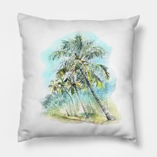 Biyyam backwater lake and Coconut Trees - Kerala. Pillow