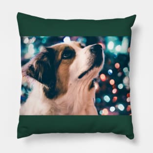 Australian Shepherd — Merry Christmas Pillow