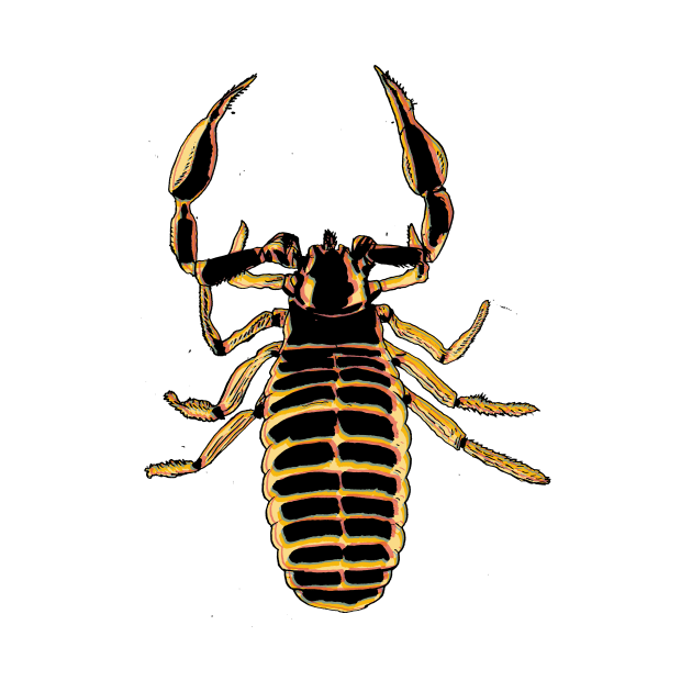 Pseudoscorpion 2 by A N Illustration