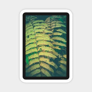 Woodland Fern Magnet