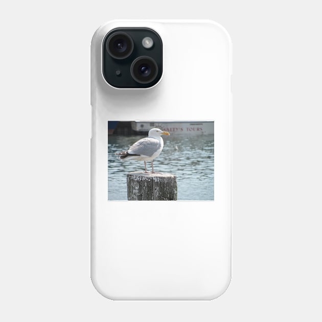 Gull King Phone Case by KensLensDesigns