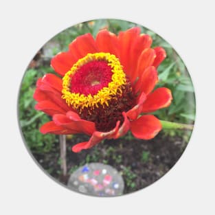 Red and Yellow Poppy Pin