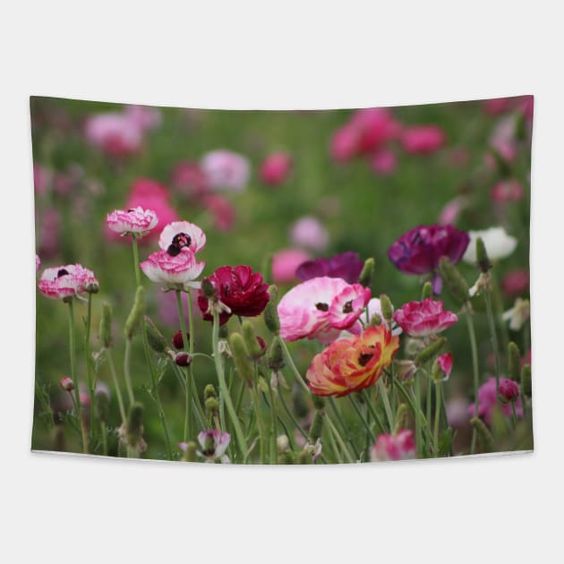 Jelly Bean Colored Ranunculus Tapestry by ButterflyInTheAttic