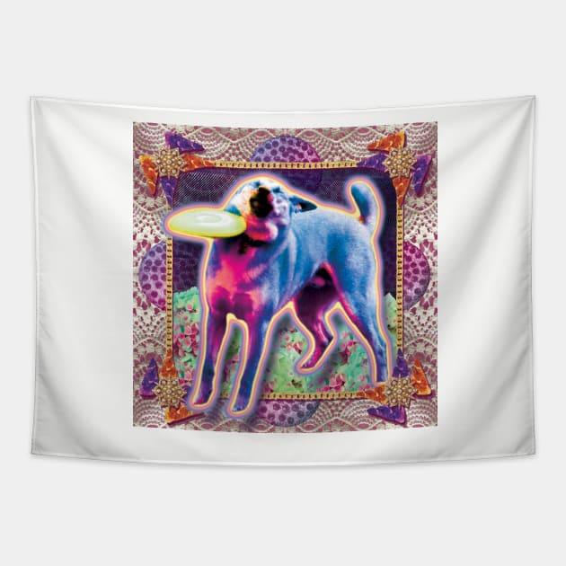 meme doggo with frisbee Tapestry by STORMYMADE