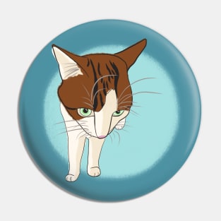 Soya the cat - grumpy Pin