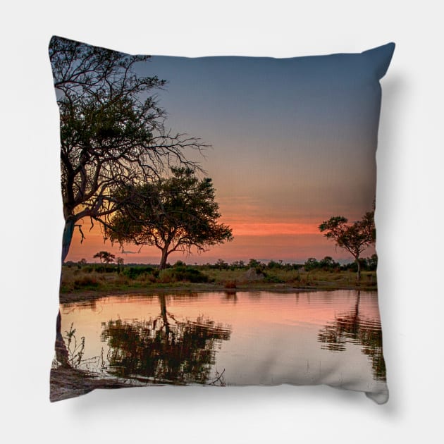 Botswana Watering Hole Pillow by Memories4you