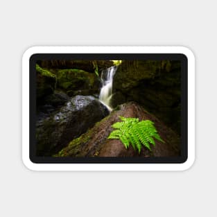 Trillium Falls Magnet