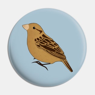 House Sparrow Pin