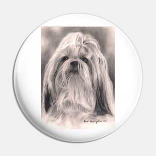 Shih Tzu Pin