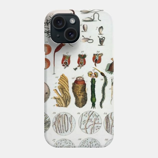 Micro Biology Life Vintage Poster Phone Case by SpaceWiz95