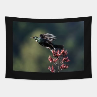 A Boisterous Beauty - Tui Tapestry