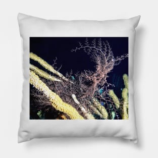 Giant Basket Star at night Pillow