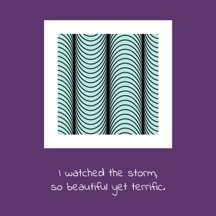 I watched the storm, so beautiful yet terrific T-Shirt