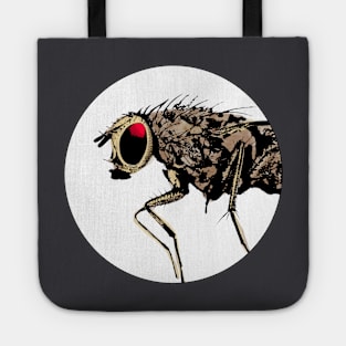 Fly / Fliege / Mouche Tote