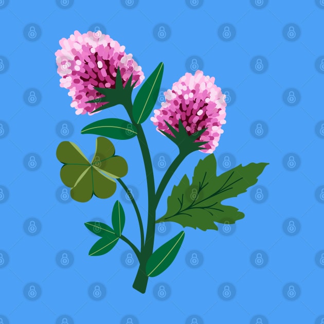 Clover flowers by Jennifer Ladd