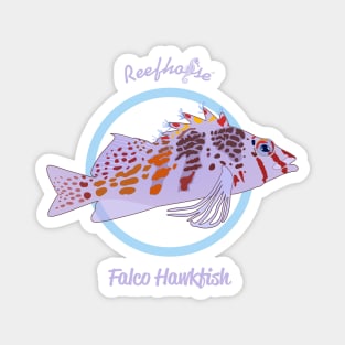 Falco Hawkfish Magnet