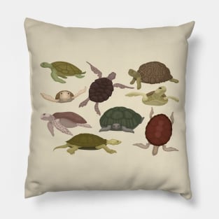 Sea Lands Turtles Pillow