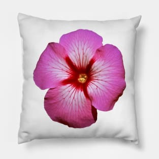 Pink Petunia Flower Graphic Art Print Pillow