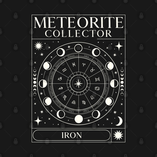 Meteorite Collector Iron Meteorite Meteorite by Meteorite Factory