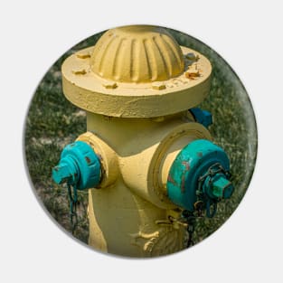 Yellow and Green Fireplug Pin