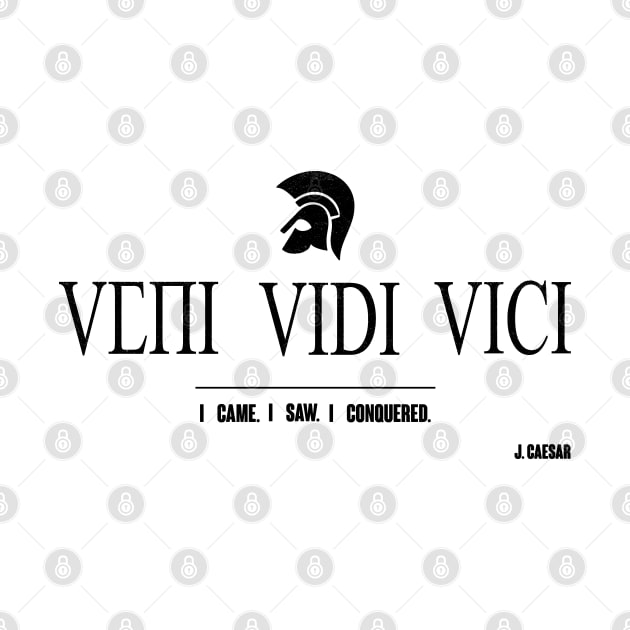 VENI VIDI VICI. I CAME. I SAW. I CONQUERED. J. CAESAR by FromHamburg