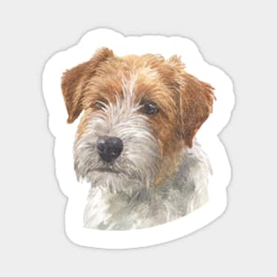 Adorable Rough Coated Jack Russell Terrier Watercolor Art Magnet