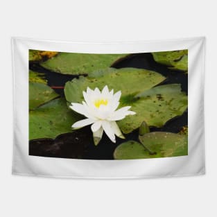 Water lily Tapestry