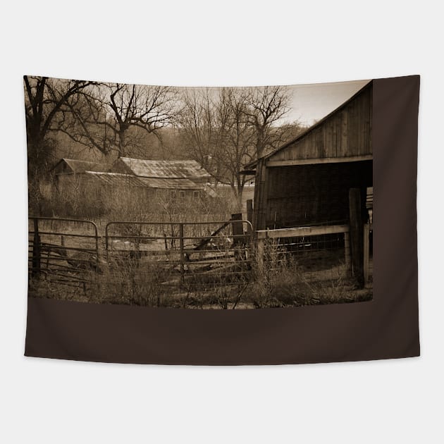 Abandoned Farm In Sepia Tapestry by KirtTisdale