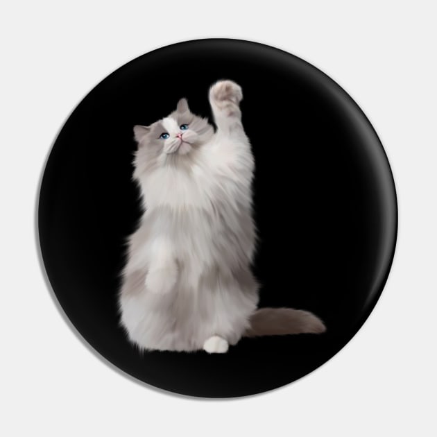 Ragdoll Cat Fetching, Ragdoll Cats, Cat Lover Pin by dukito