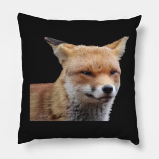 Fox Pillow