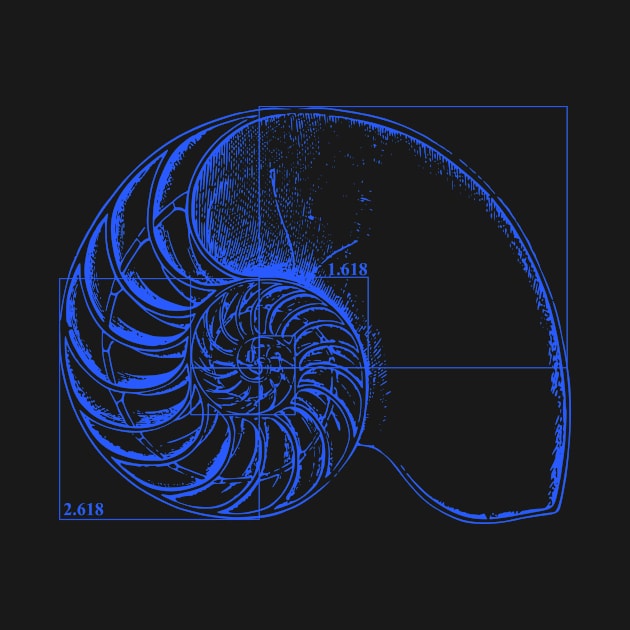 Fibonacci on a nautilus shell (blue) by funmaths