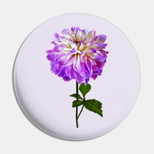 Pale Pink and White Dahlia Pin