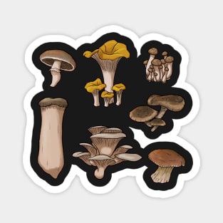 Edible Mushrooms Seamless Pattern Magnet